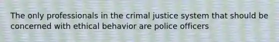 The only professionals in the crimal justice system that should be concerned with ethical behavior are police officers