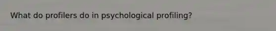 What do profilers do in psychological profiling?