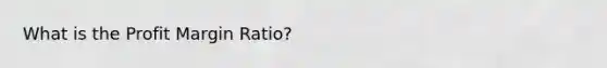 What is the Profit Margin Ratio?