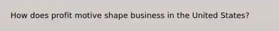 How does profit motive shape business in the United States?