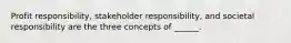 Profit responsibility, stakeholder responsibility, and societal responsibility are the three concepts of ______.