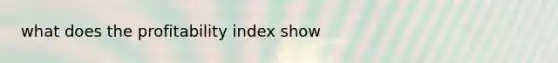 what does the profitability index show