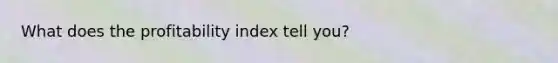 What does the profitability index tell you?