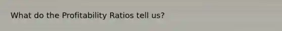 What do the Profitability Ratios tell us?