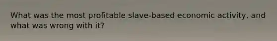 What was the most profitable slave-based economic activity, and what was wrong with it?