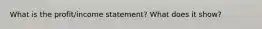 What is the profit/income statement? What does it show?