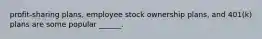 profit-sharing plans, employee stock ownership plans, and 401(k) plans are some popular ______.