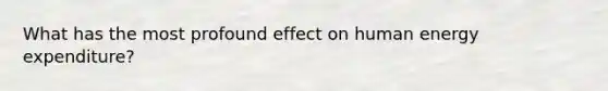 What has the most profound effect on human energy expenditure?