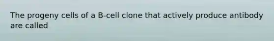 The progeny cells of a B-cell clone that actively produce antibody are called