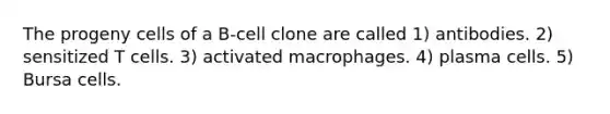 The progeny cells of a B-cell clone are called 1) antibodies. 2) sensitized T cells. 3) activated macrophages. 4) plasma cells. 5) Bursa cells.