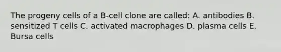 The progeny cells of a B-cell clone are called: A. antibodies B. sensitized T cells C. activated macrophages D. plasma cells E. Bursa cells