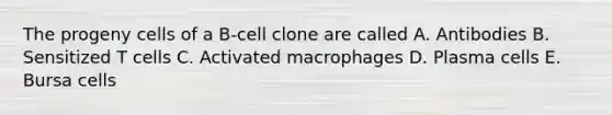 The progeny cells of a B-cell clone are called A. Antibodies B. Sensitized T cells C. Activated macrophages D. Plasma cells E. Bursa cells