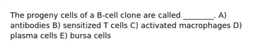 The progeny cells of a B-cell clone are called ________. A) antibodies B) sensitized T cells C) activated macrophages D) plasma cells E) bursa cells