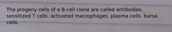 The progeny cells of a B-cell clone are called antibodies. sensitized T cells. activated macrophages. plasma cells. bursa cells.