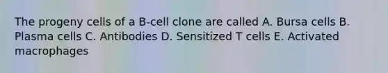 The progeny cells of a B-cell clone are called A. Bursa cells B. Plasma cells C. Antibodies D. Sensitized T cells E. Activated macrophages