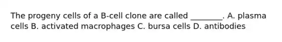 The progeny cells of a B-cell clone are called ________. A. plasma cells B. activated macrophages C. bursa cells D. antibodies