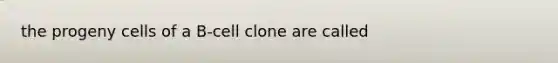 the progeny cells of a B-cell clone are called