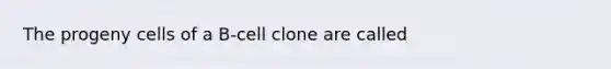 The progeny cells of a B-cell clone are called