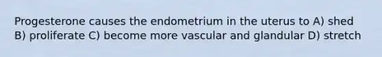 Progesterone causes the endometrium in the uterus to A) shed B) proliferate C) become more vascular and glandular D) stretch