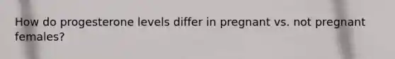 How do progesterone levels differ in pregnant vs. not pregnant females?