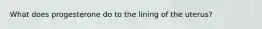 What does progesterone do to the lining of the uterus?