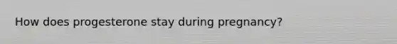 How does progesterone stay during pregnancy?