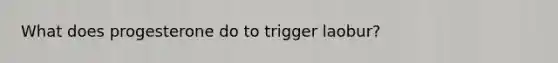 What does progesterone do to trigger laobur?