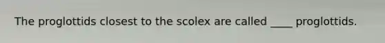 The proglottids closest to the scolex are called ____ proglottids.