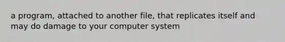 a program, attached to another file, that replicates itself and may do damage to your computer system