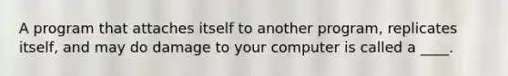 A program that attaches itself to another program, replicates itself, and may do damage to your computer is called a ____.