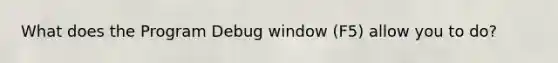 What does the Program Debug window (F5) allow you to do?