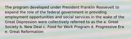 The program developed under President Franklin Roosevelt to expand the role of the federal government in providing employment opportunities and social services in the wake of the Great Depression were collectively referred to as the a. Great Society b. New Deal c. Food for Work Program d. Progressive Era e. Great Reformation