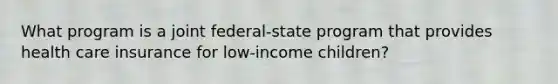 What program is a joint federal-state program that provides health care insurance for low-income children?