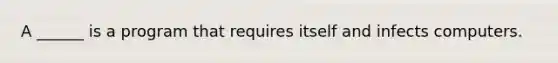 A ______ is a program that requires itself and infects computers.