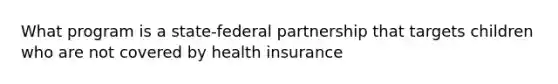 What program is a state-federal partnership that targets children who are not covered by health insurance