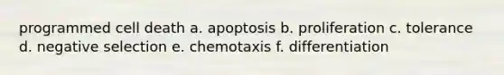 programmed cell death a. apoptosis b. proliferation c. tolerance d. negative selection e. chemotaxis f. differentiation