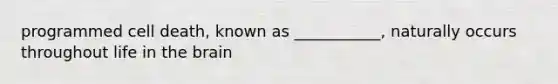 programmed cell death, known as ___________, naturally occurs throughout life in <a href='https://www.questionai.com/knowledge/kLMtJeqKp6-the-brain' class='anchor-knowledge'>the brain</a>