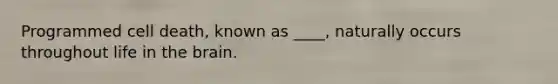 Programmed cell death, known as ____, naturally occurs throughout life in the brain.