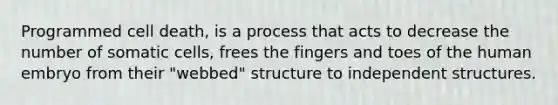 Programmed cell death, is a process that acts to decrease the number of somatic cells, frees the fingers and toes of the human embryo from their "webbed" structure to independent structures.