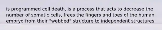 is programmed cell death, is a process that acts to decrease the number of somatic cells, frees the fingers and toes of the human embryo from their "webbed" structure to independent structures