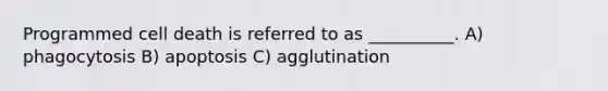 Programmed cell death is referred to as __________. A) phagocytosis B) apoptosis C) agglutination