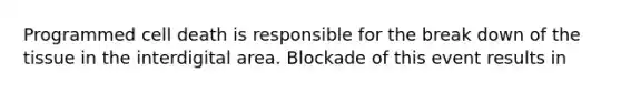 Programmed cell death is responsible for the break down of the tissue in the interdigital area. Blockade of this event results in