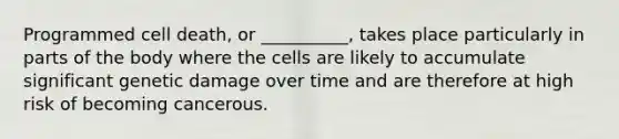 Programmed cell death, or __________, takes place particularly in parts of the body where the cells are likely to accumulate significant genetic damage over time and are therefore at high risk of becoming cancerous.