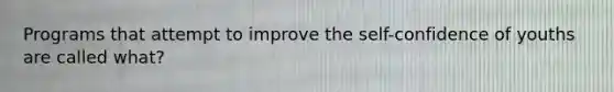 Programs that attempt to improve the self-confidence of youths are called what?