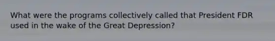 What were the programs collectively called that President FDR used in the wake of the Great Depression?