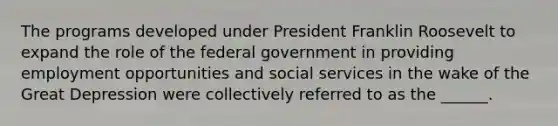 The programs developed under President Franklin Roosevelt to expand the role of the federal government in providing employment opportunities and social services in the wake of the Great Depression were collectively referred to as the ______.