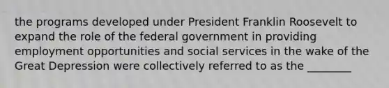 the programs developed under President Franklin Roosevelt to expand the role of the federal government in providing employment opportunities and social services in the wake of the Great Depression were collectively referred to as the ________