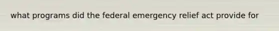 what programs did the federal emergency relief act provide for