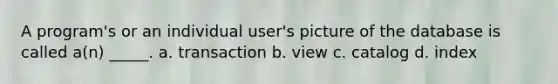 A program's or an individual user's picture of the database is called a(n) _____. a. transaction b. view c. catalog d. index