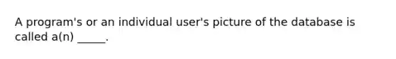 A program's or an individual user's picture of the database is called a(n) _____.